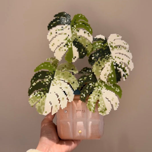 .𖥔 ݁ ˖LoopJelly𓂃.☘︎ ݁˖Pixel Potted Plants🌿Monstera deliciosa ‘Albo' 4 leaves