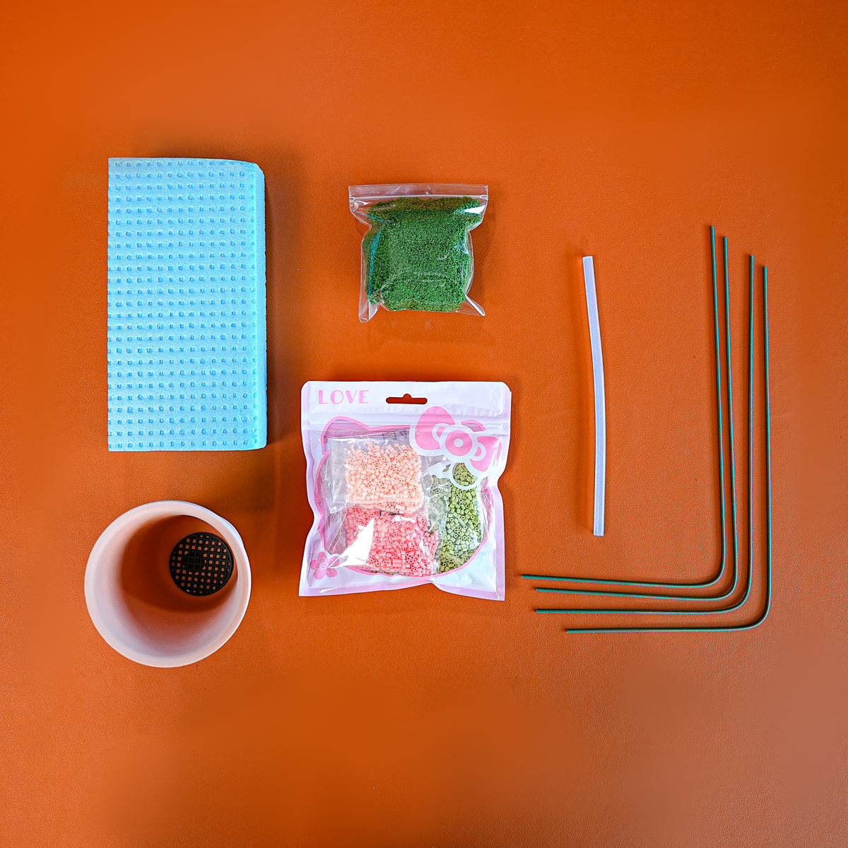 Fishbone Cactus Pot DIY KIT