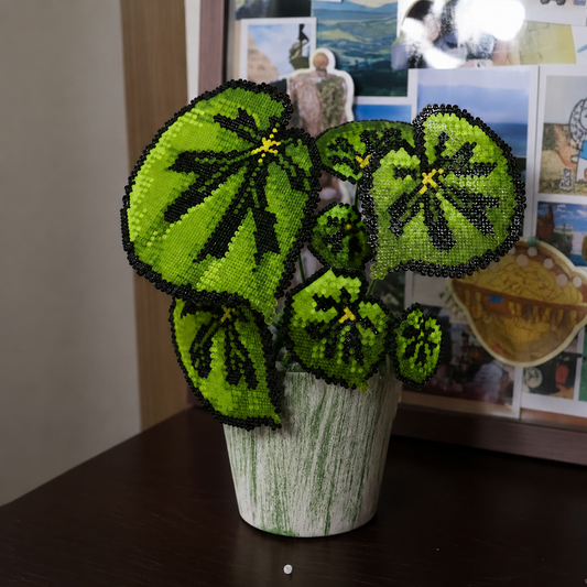 .𖥔 ݁ ˖LoopJelly𓂃.☘︎ ݁˖Pixel Potted Plants🌿Rex Begonia