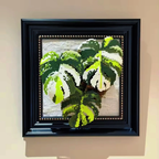 .𖥔 ݁ ˖LoopJelly𓂃.☘︎ ݁˖Pixel Plant Frames🍃Monstera Albo