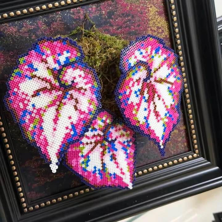 .𖥔 ݁ ˖LoopJelly𓂃.☘︎ ݁˖Pixel Plant Frames🍃Carnival Begonia