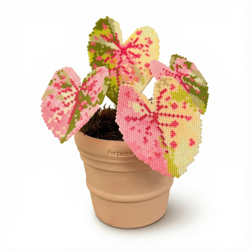 .𖥔 ݁ ˖LoopJelly𓂃.☘︎ ݁˖Pixel Potted Plants🌿Caladium ‘Rose’🌹
