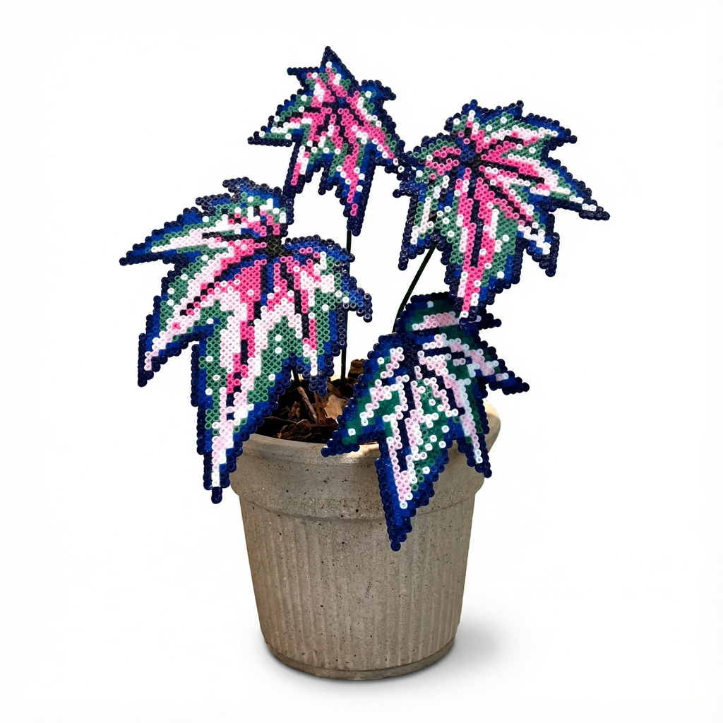 .𖥔 ݁ ˖LoopJelly𓂃.☘︎ ݁˖Pixel Potted Plants🌿 ‘Robert Gordon’⭐