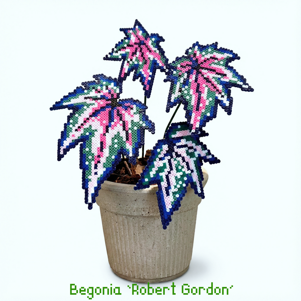 .𖥔 ݁ ˖LoopJelly𓂃.☘︎ ݁˖Pixel Potted Plants🌿 ‘Robert Gordon’⭐