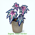 .𖥔 ݁ ˖LoopJelly𓂃.☘︎ ݁˖Pixel Potted Plants🌿 ‘Robert Gordon’⭐