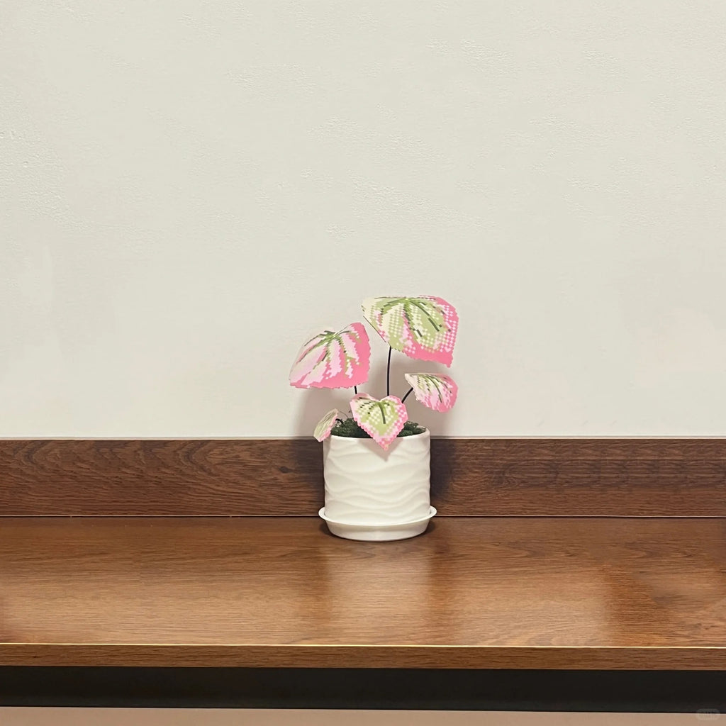 .𖥔 ݁ ˖LoopJelly𓂃.☘︎ ݁˖Pixel Potted Plants🌿Begonia 'Martin's Mystery