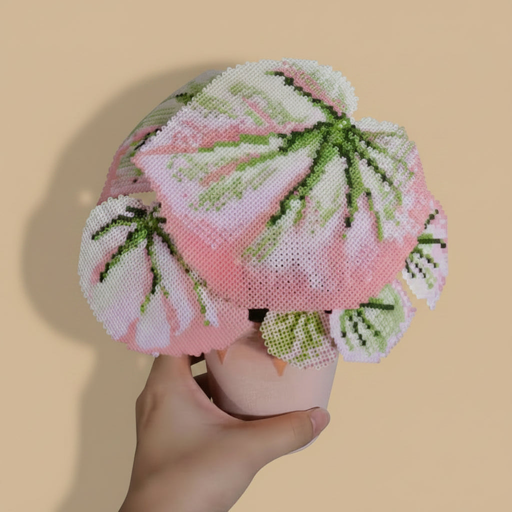 .𖥔 ݁ ˖LoopJelly𓂃.☘︎ ݁˖Pixel Potted Plants🌿Begonia 'Martin's Mystery