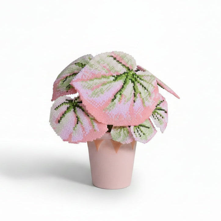 .𖥔 ݁ ˖LoopJelly𓂃.☘︎ ݁˖Pixel Potted Plants🌿Begonia 'Martin's Mystery