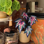 .𖥔 ݁ ˖LoopJelly𓂃.☘︎ ݁˖Pixel Potted Plants🌿 ‘Robert Gordon’⭐