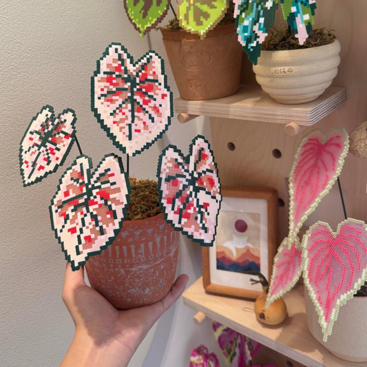 .𖥔 ݁ ˖LoopJelly𓂃.☘︎ ݁˖Pixel Potted Plants🌿Begonia ‘strawberry’🍓