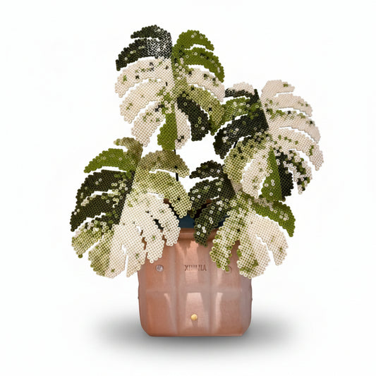 .𖥔 ݁ ˖LoopJelly𓂃.☘︎ ݁˖Pixel Potted Plants🌿Monstera deliciosa ‘Albo' 4 leaves