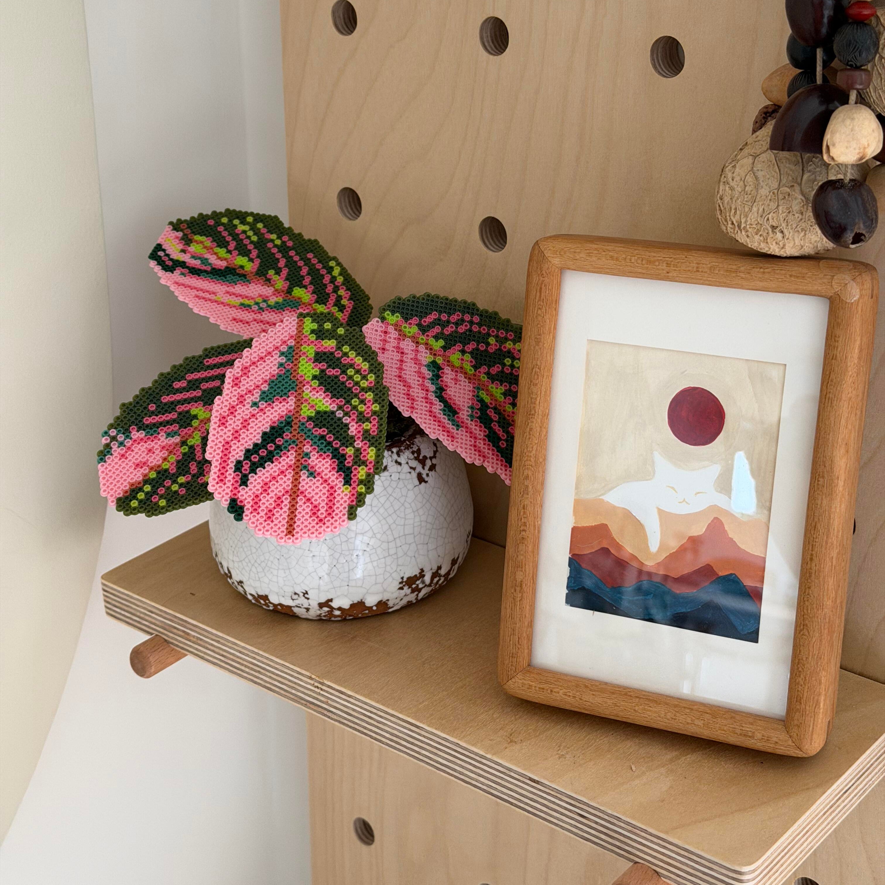 .𖥔 ݁ ˖LoopJelly𓂃.☘︎ ݁˖Pixel Potted Plants🌿Calathea ‘Pink Ghost Variegata’