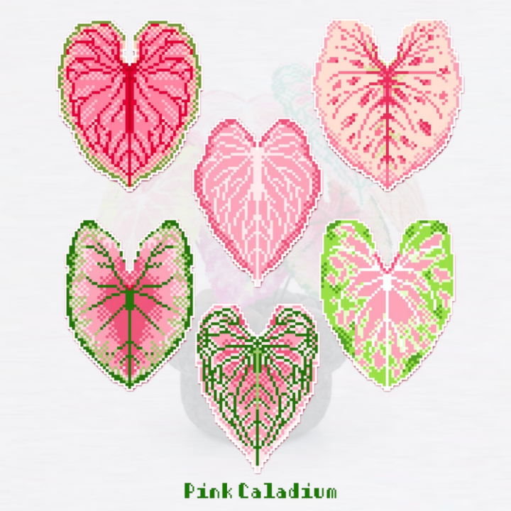 .𖥔 ݁ ˖LoopJelly𓂃.☘︎ ݁˖Pixel Potted Plants🌿Pink Caladium