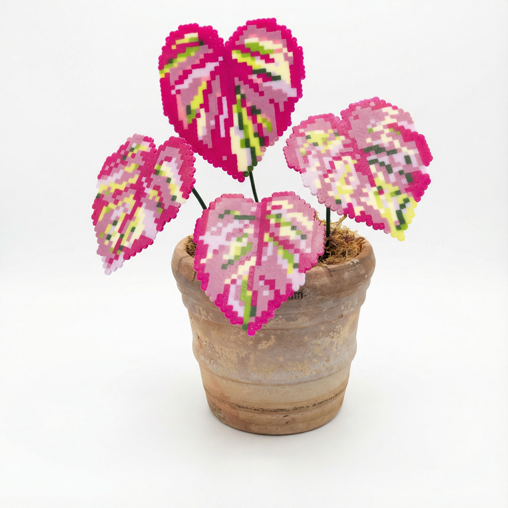 .𖥔 ݁ ˖LoopJelly𓂃.☘︎ ݁˖Pixel Potted Plants🌿Caladium'Pink '🌸