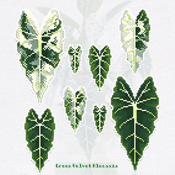 .𖥔 ݁ ˖LoopJelly𓂃.☘︎ ݁˖Pixel Potted Plants🌿Green Velvet Alocasia