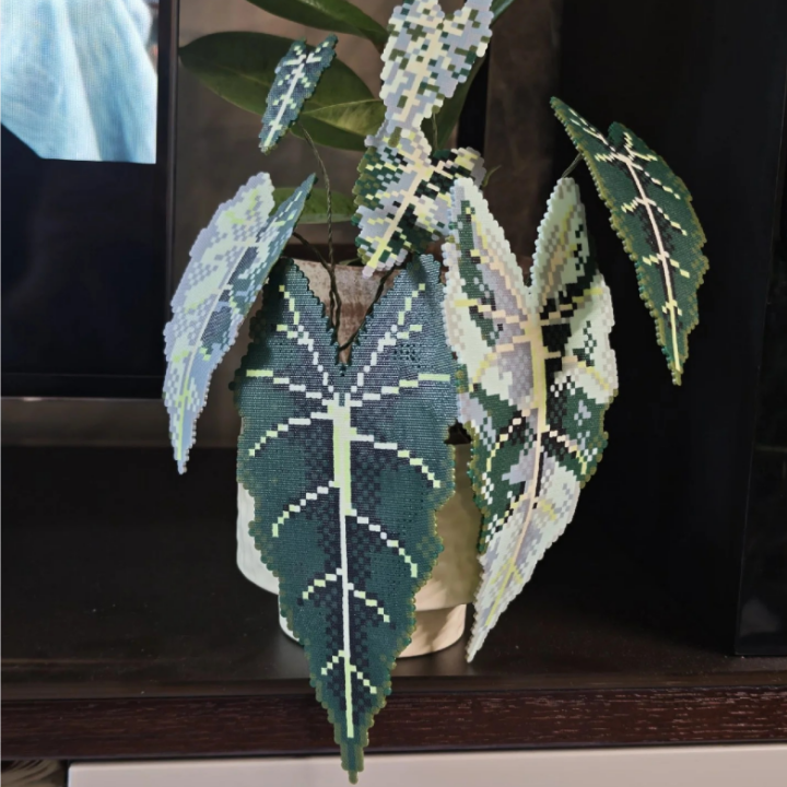 .𖥔 ݁ ˖LoopJelly𓂃.☘︎ ݁˖Pixel Potted Plants🌿Green Velvet Alocasia