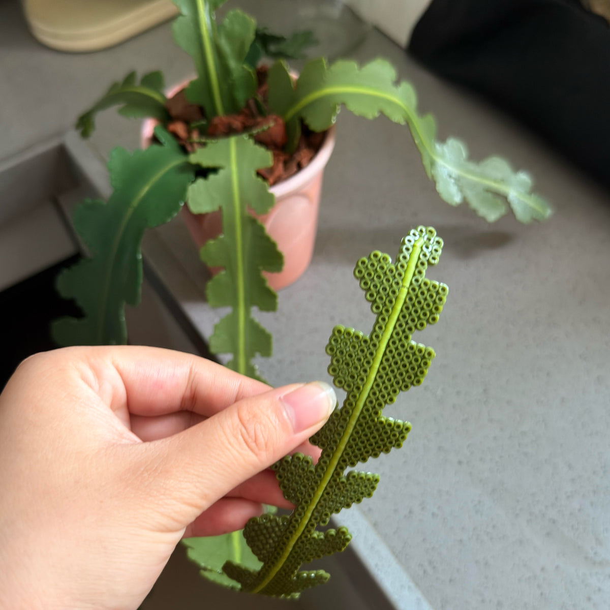 Fishbone Cactus Pot DIY KIT