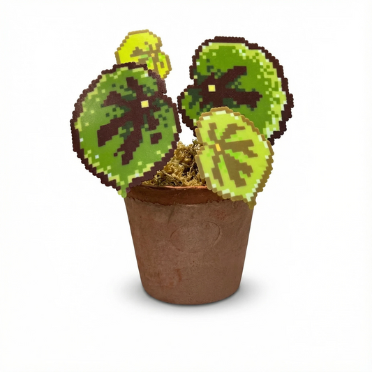 .𖥔 ݁ ˖LoopJelly𓂃.☘︎ ݁˖Pixel Potted Plants🌿Begonia ‘Beautiful Pattern’🎨