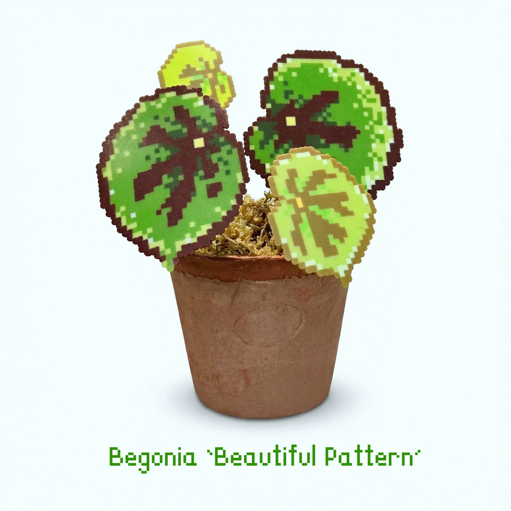 .𖥔 ݁ ˖LoopJelly𓂃.☘︎ ݁˖Pixel Potted Plants🌿Begonia ‘Beautiful Pattern’🎨