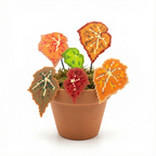 .𖥔 ݁ ˖LoopJelly𓂃.☘︎ ݁˖Pixel Potted Plants🌿Begonia ‘Autumn Bloom’🍂