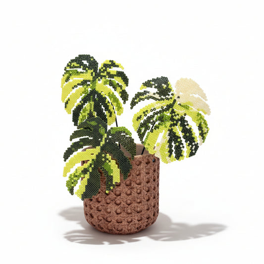 .𖥔 ݁ ˖LoopJelly𓂃.☘︎ ݁˖Pixel Potted Plants🌿Monstera deliciosa ‘Aurea’ 💛