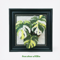 .𖥔 ݁ ˖LoopJelly𓂃.☘︎ ݁˖Pixel Plant Frames🍃Monstera Albo