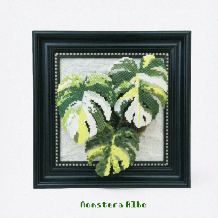 .𖥔 ݁ ˖LoopJelly𓂃.☘︎ ݁˖Pixel Plant Frames🍃Monstera Albo