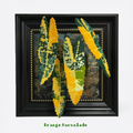 .𖥔 ݁ ˖LoopJelly𓂃.☘︎ ݁˖Pixel Plant Frames🍃Philodendron ‘Orange Marmalade’