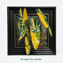 .𖥔 ݁ ˖LoopJelly𓂃.☘︎ ݁˖Pixel Plant Frames🍃Philodendron ‘Orange Marmalade’