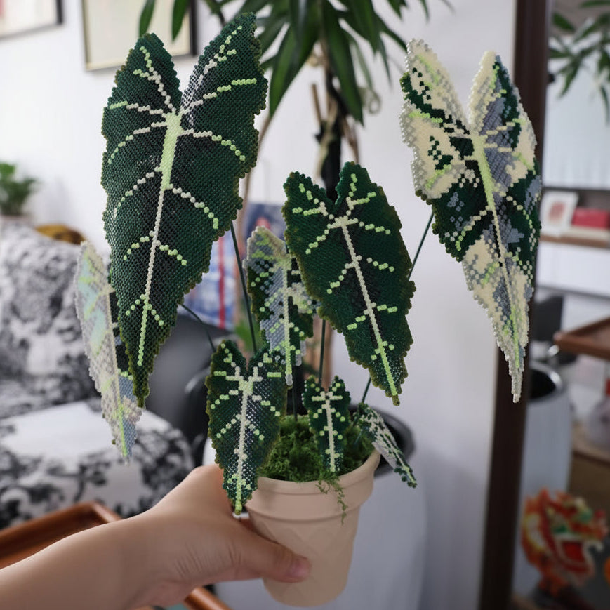 .𖥔 ݁ ˖LoopJelly𓂃.☘︎ ݁˖Pixel Potted Plants🌿 Green Velvet Alocasia