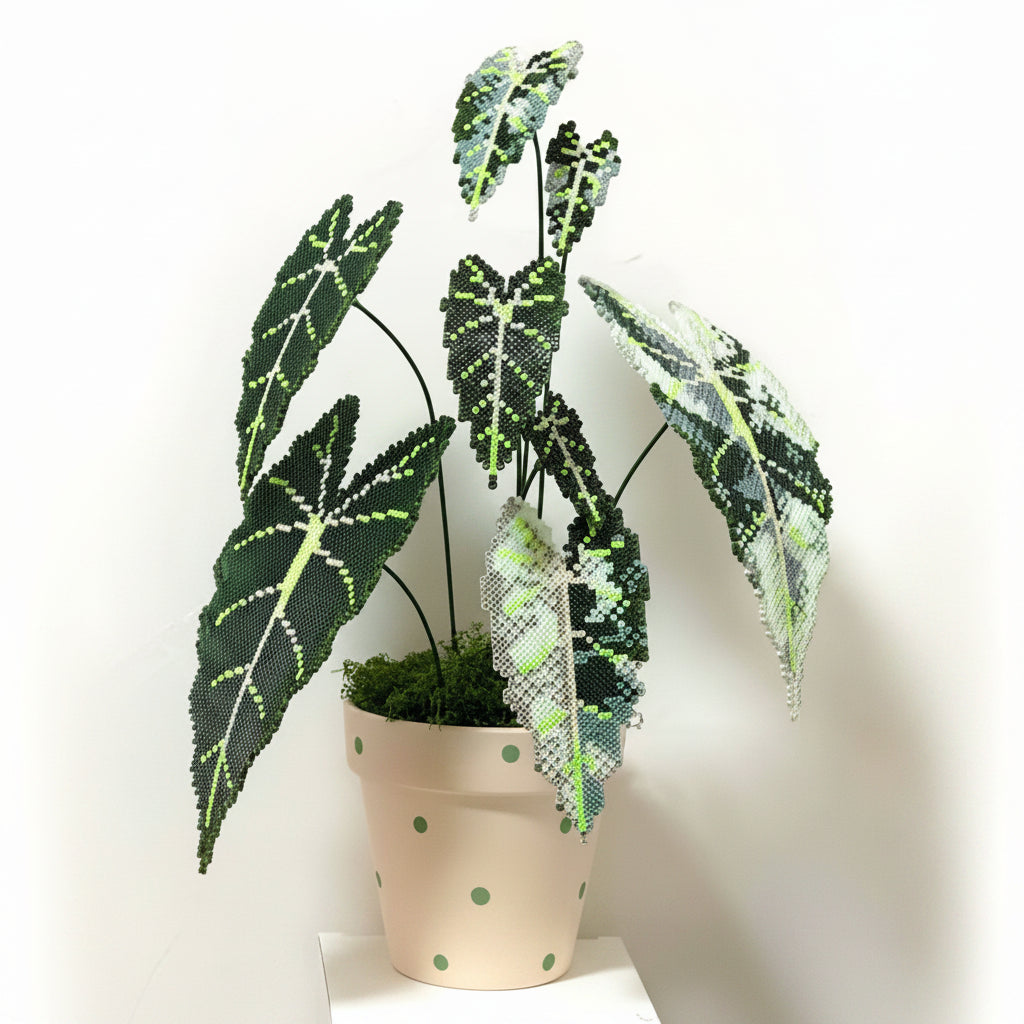 .𖥔 ݁ ˖LoopJelly𓂃.☘︎ ݁˖Pixel Potted Plants🌿 Green Velvet Alocasia