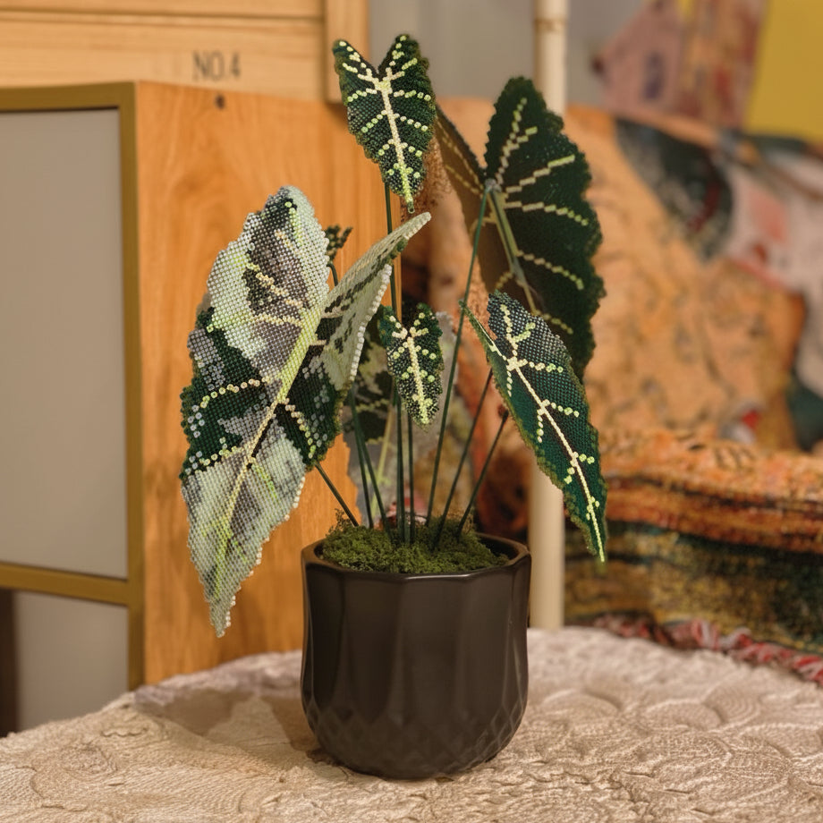 .𖥔 ݁ ˖LoopJelly𓂃.☘︎ ݁˖Pixel Potted Plants🌿 Green Velvet Alocasia