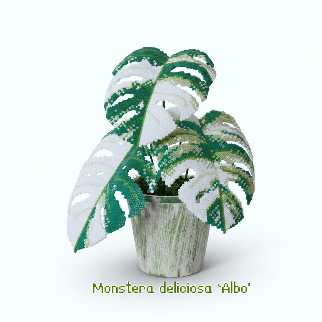 .𖥔 ݁ ˖LoopJelly𓂃.☘︎ ݁˖Pixel Potted Plants🌿Monstera deliciosa ‘Albo'