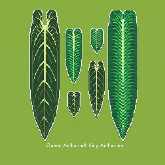 .𖥔 ݁ ˖LoopJelly𓂃.☘︎ ݁˖Pixel Potted Plants🌿Queen & King Anthurium