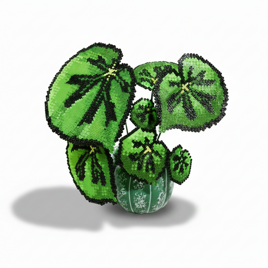 .𖥔 ݁ ˖LoopJelly𓂃.☘︎ ݁˖Pixel Potted Plants🌿Rex Begonia