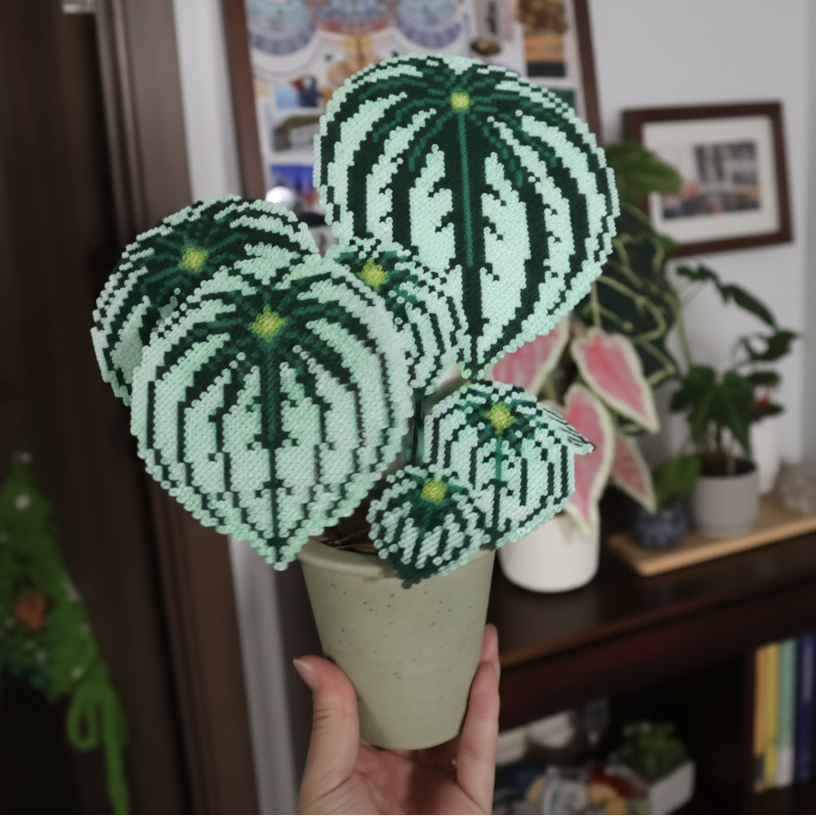 .𖥔 ݁ ˖LoopJelly𓂃.☘︎ ݁˖Pixel Potted Plants🌿 Watermelon Peperomia
