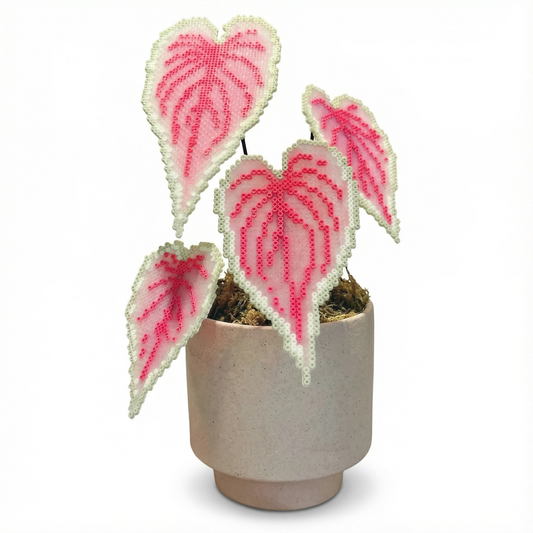 .𖥔 ݁ ˖LoopJelly𓂃.☘︎ ݁˖Pixel Potted Plants🌿Caladium ‘Sweetheart’💗