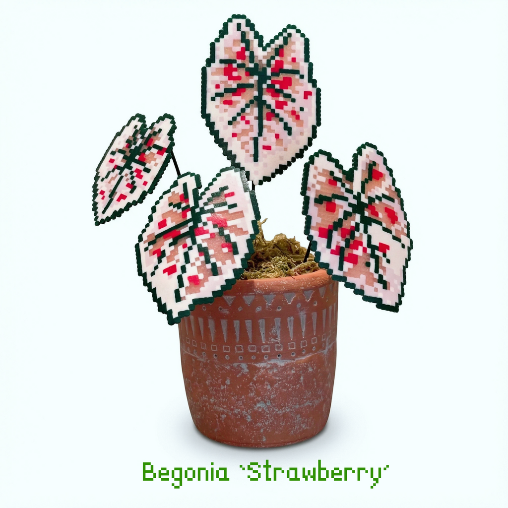 .𖥔 ݁ ˖LoopJelly𓂃.☘︎ ݁˖Pixel Potted Plants🌿Begonia ‘strawberry’🍓