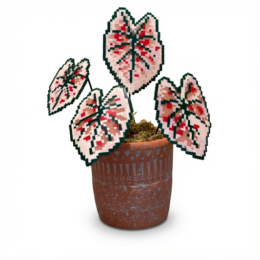 .𖥔 ݁ ˖LoopJelly𓂃.☘︎ ݁˖Pixel Potted Plants🌿Begonia ‘strawberry’🍓